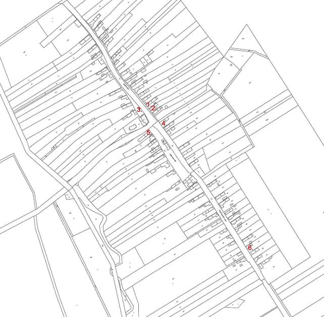 image4.jpeg